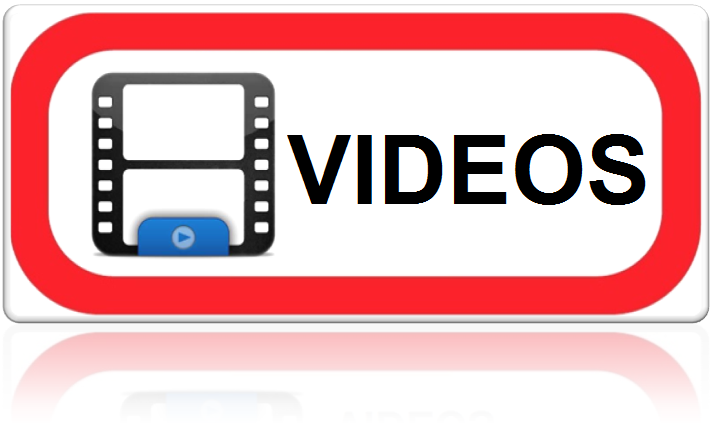 assista todos os vídeos conexão japão